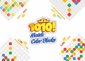 1010 Color Match